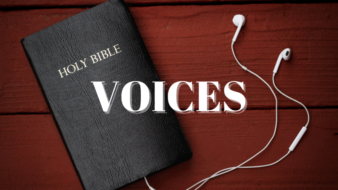Voices-Discerning The Voices In Our Heads