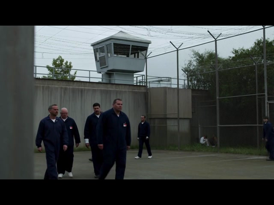 From the Cell to the Stage