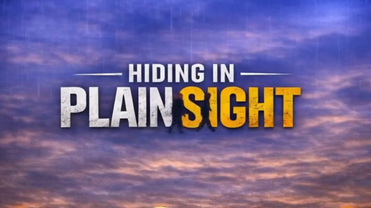 Hiding in Plain Sight