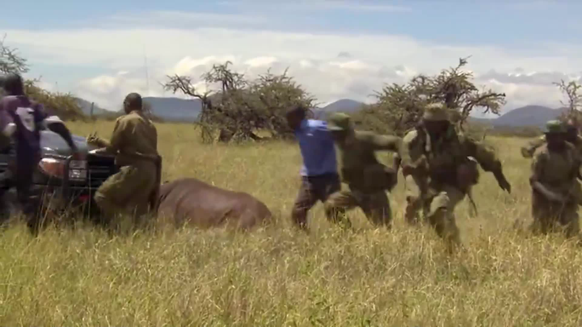 Africa. 1