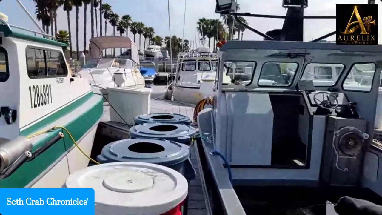 Crab's in a Bucket