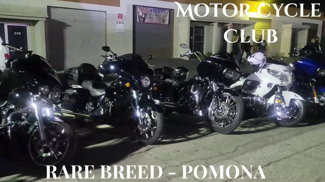 Rare Breed Pomona.1