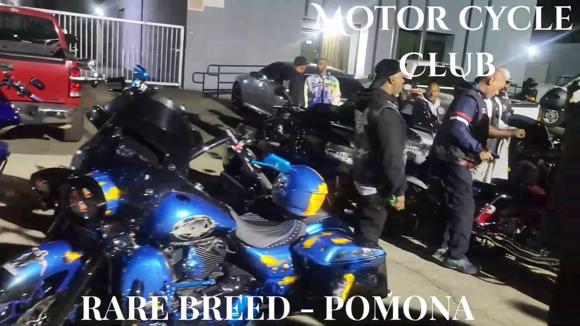 Rare Breed Pomona