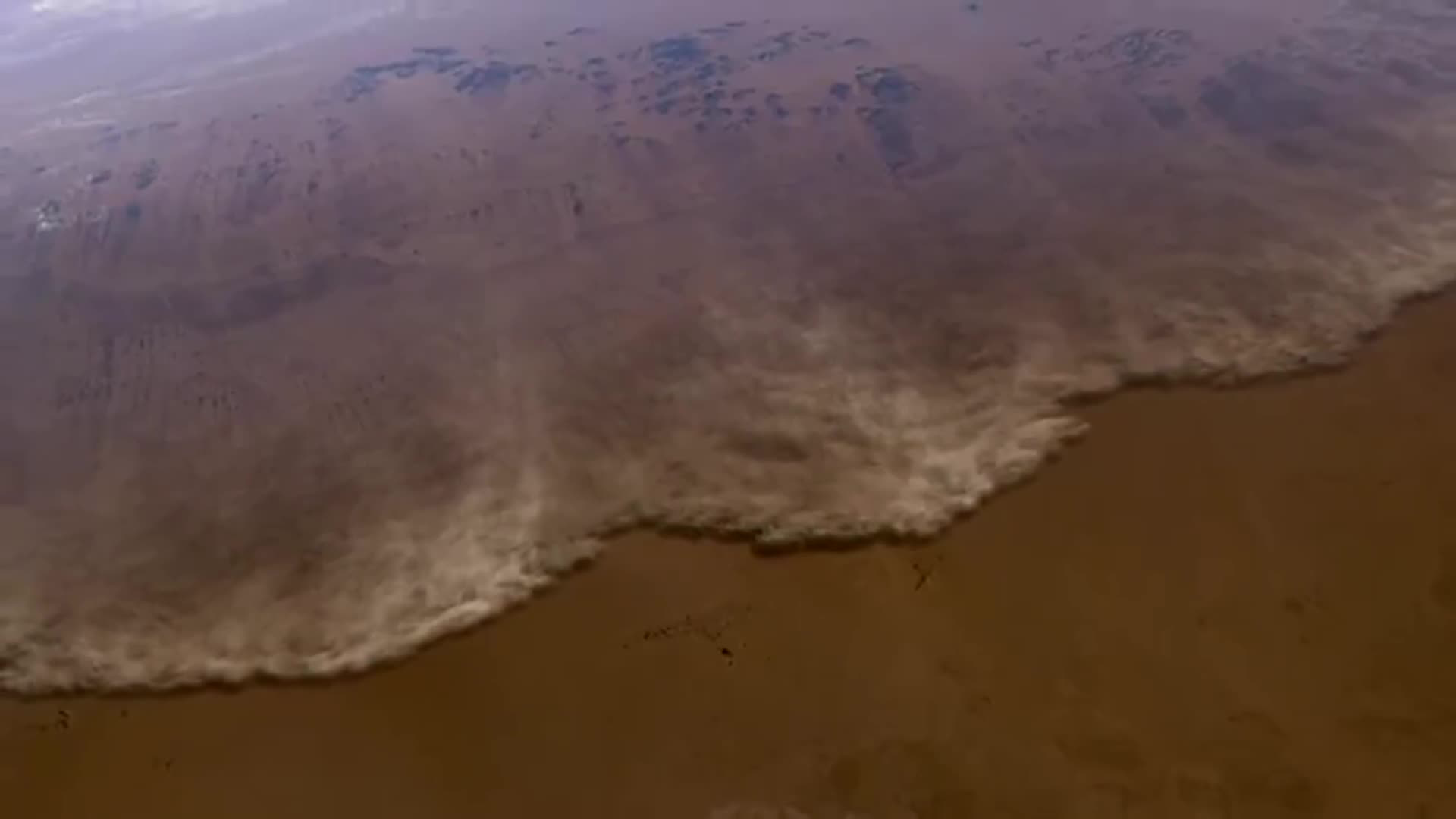 North Africa