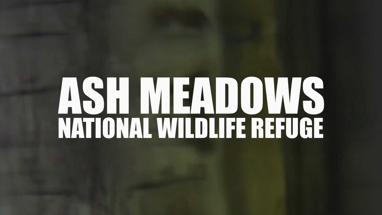 Spirit of Nevada S1E06: National Wildlife Refuge (VOD)