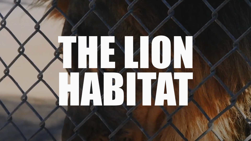 Spirit of Nevada S1E07: The Lion Habitat (VOD)
