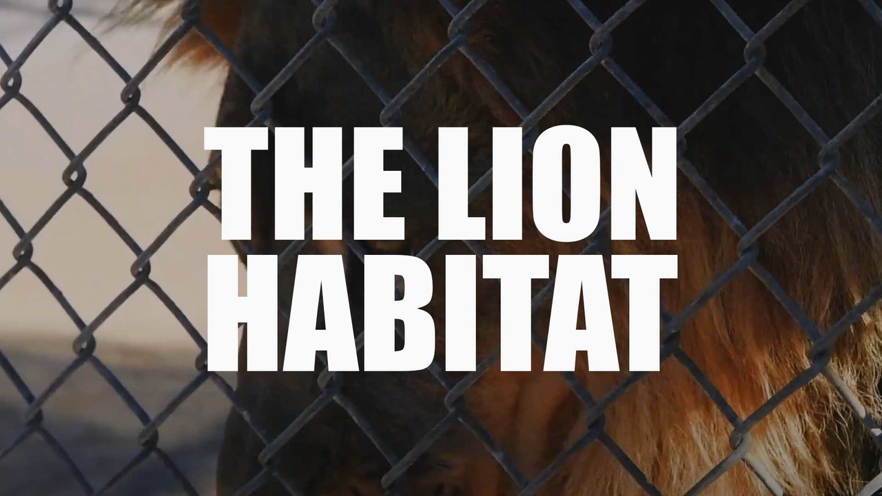 Spirit of Nevada S1E07: The Lion Habitat (VOD)