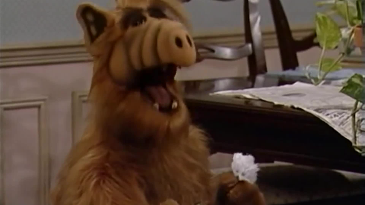 ALF - S01E20 - Going Out of My Head Over You SDTV
