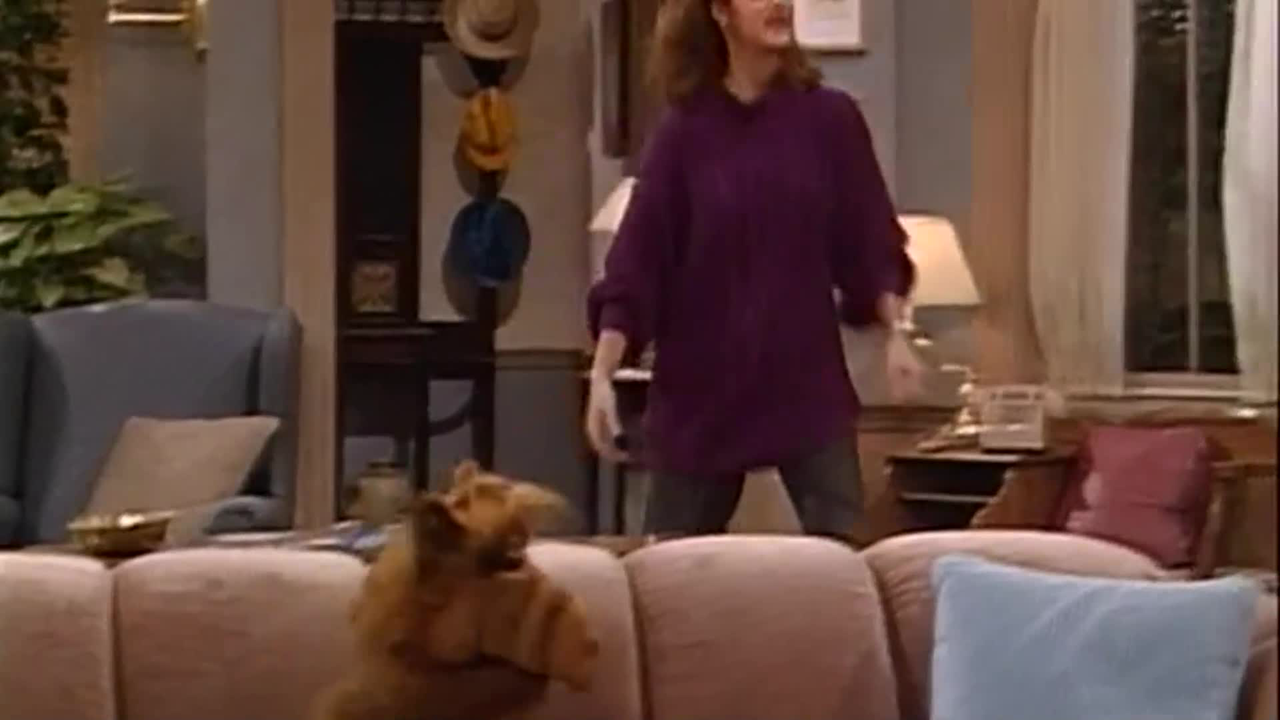 ALF - S01E10 - Baby, You Can Drive My Car SDTV
