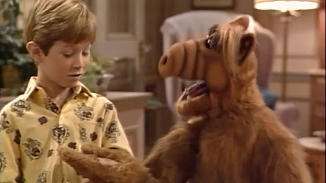 ALF - S01E07 - Help Me, Rhonda SDTV