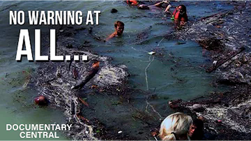 Most Devastating Natural Disaster Ever Recorded | Tsunami: Caught on Camera