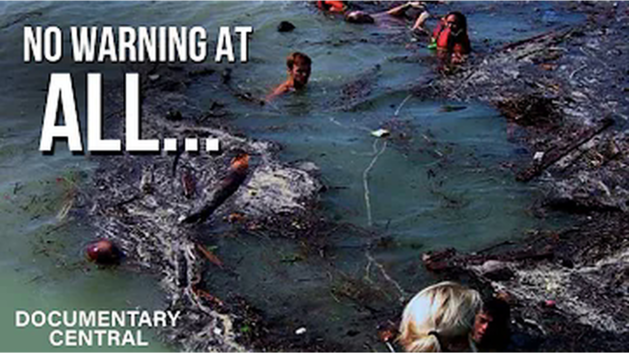 Most Devastating Natural Disaster Ever Recorded | Tsunami: Caught on Camera