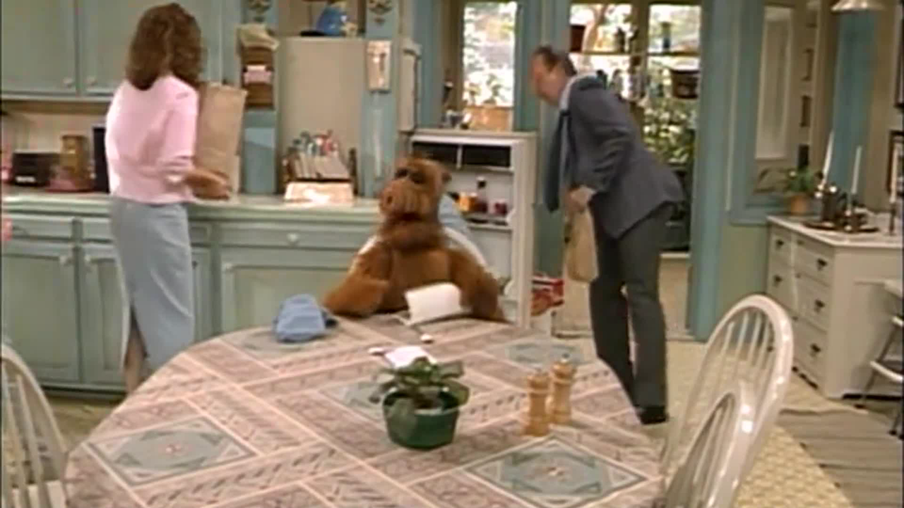 ALF - S01E26 - Come Fly with Me SDTV