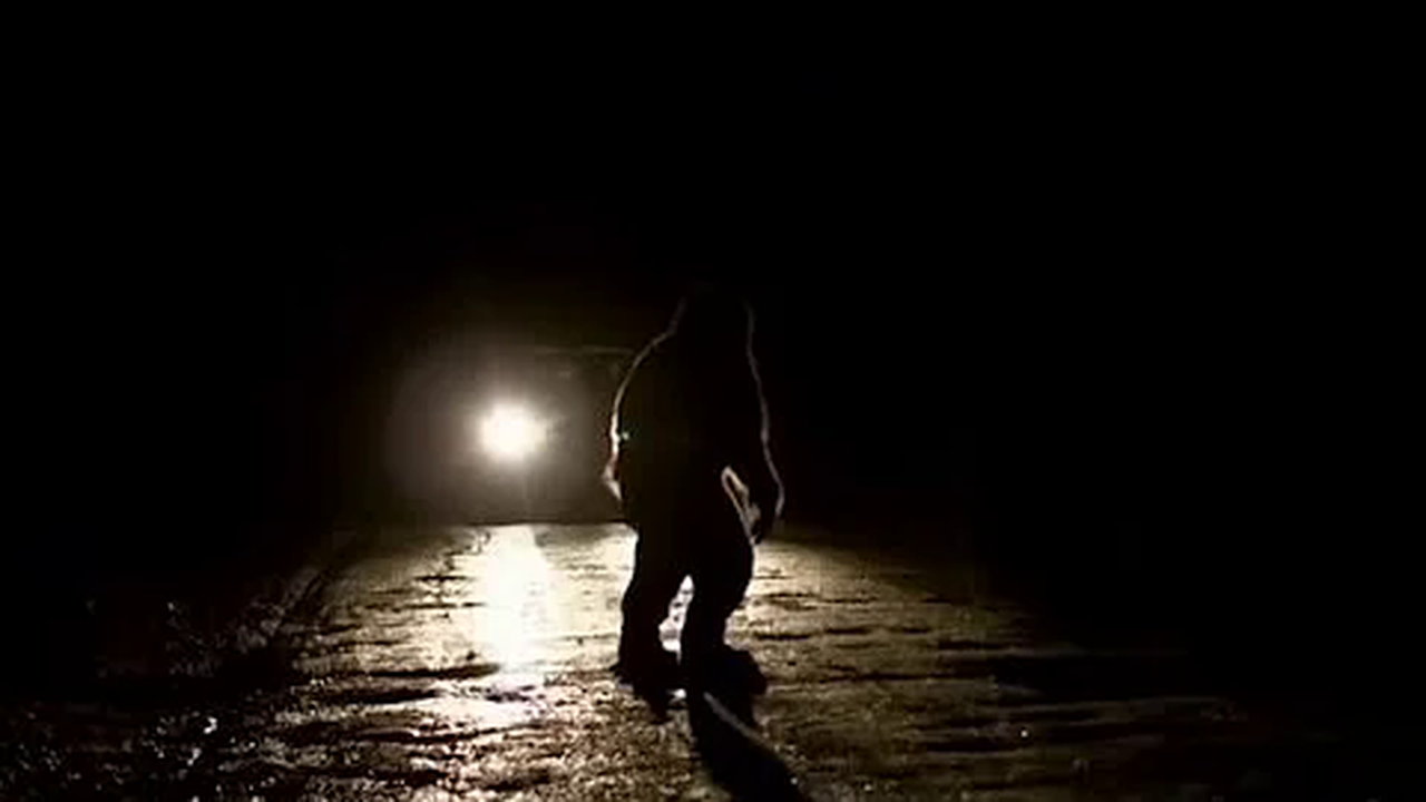 Bigfoot Documentary