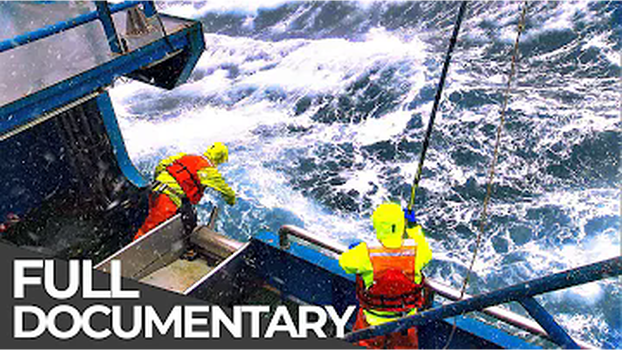 World’s Toughest Fishing Ships | Life Aboard Floating Factories | Free Documentary