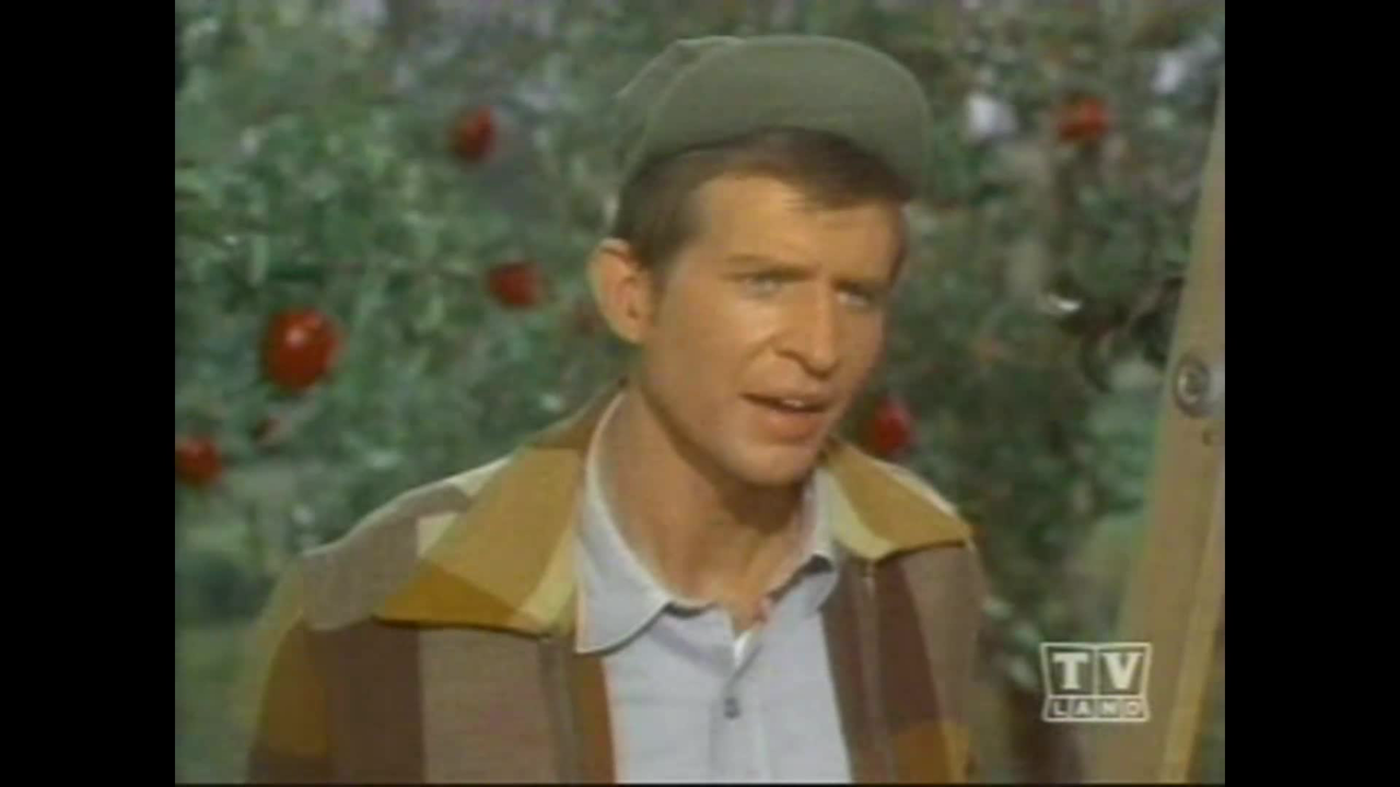 Green Acres - 084 - Arnold, Boy Hero - (TV Rip)