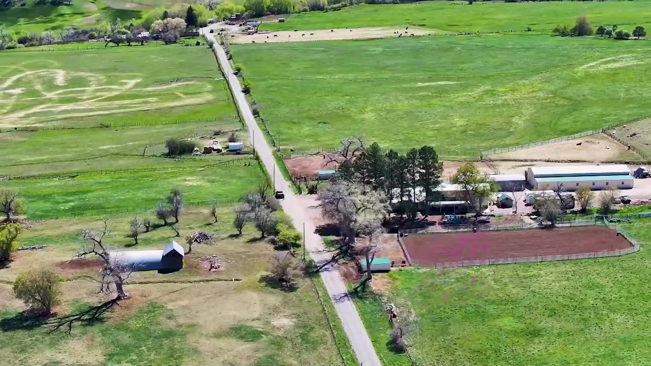 CO-M  58749 OE Road Collbran CO  |  Julie Piland & Amber Feller  |  970-985-0913  |