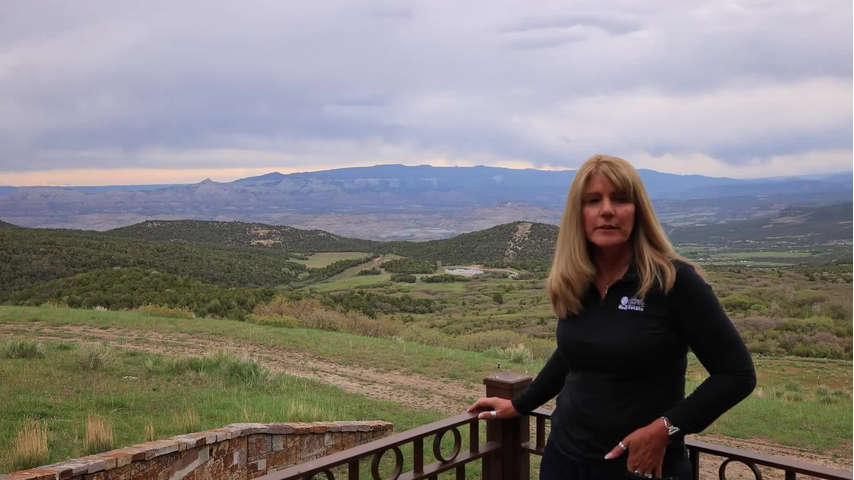 Julie Piland INTRO