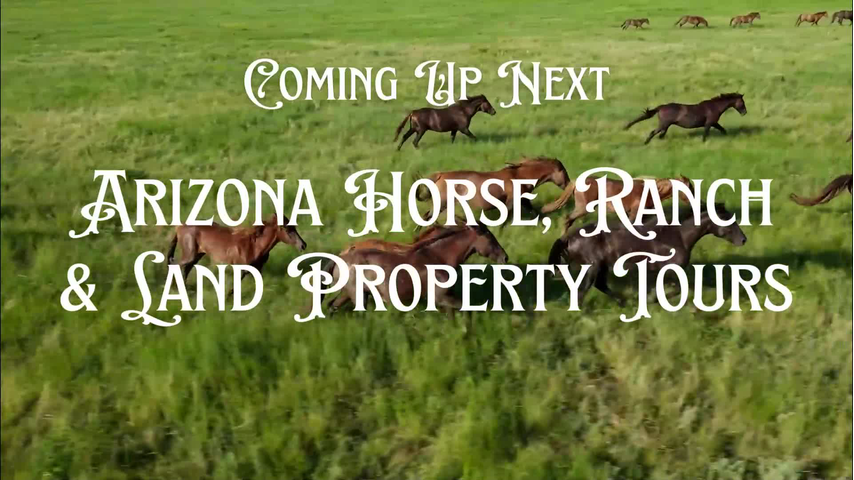 Arizona - AZ TRANSITION CARD