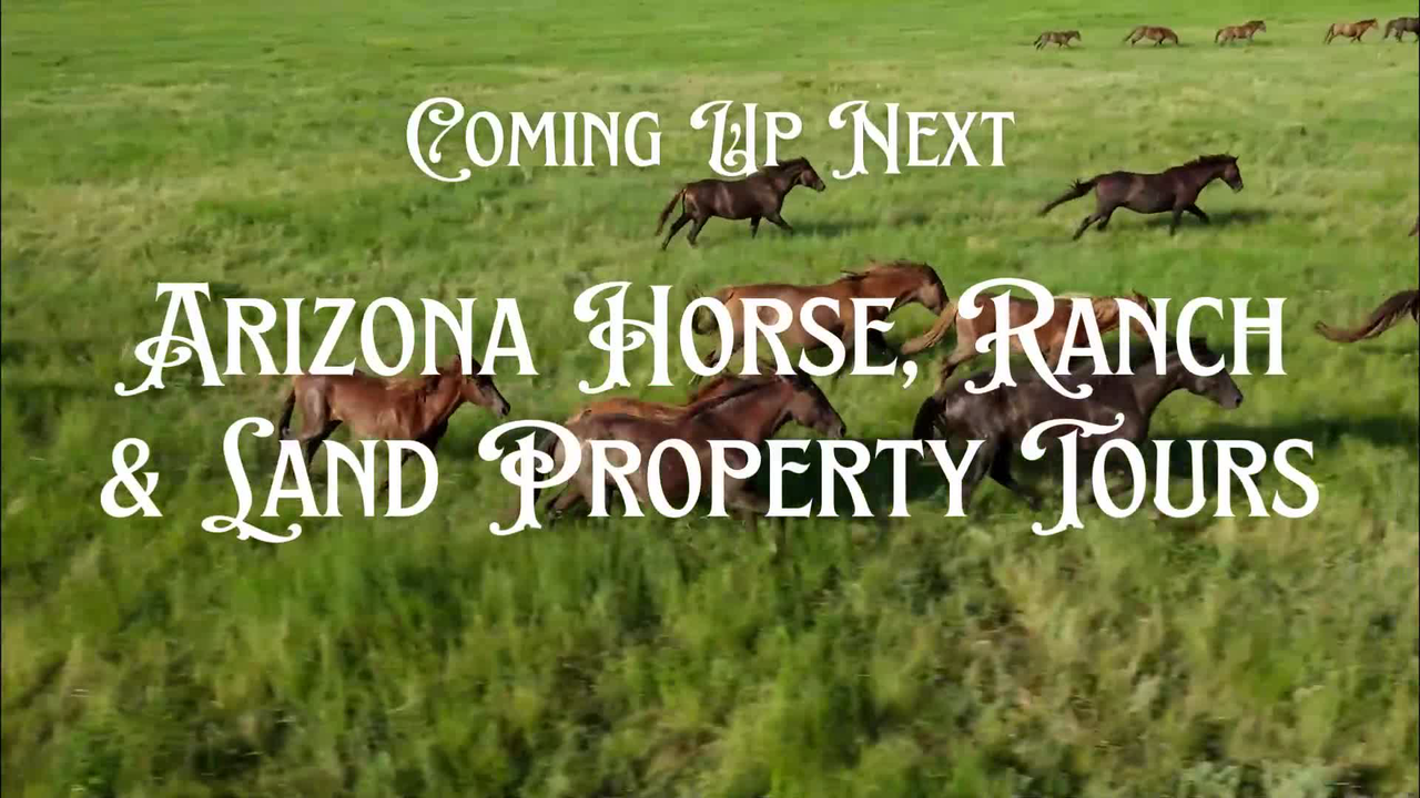 Arizona - AZ TRANSITION CARD