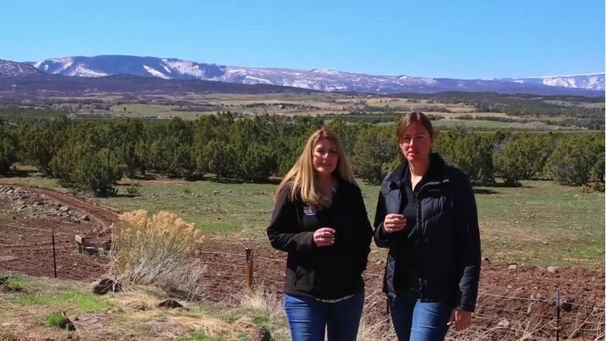 CO - 56001 KK Road Molina, CO Julie Piland and Amber Feller