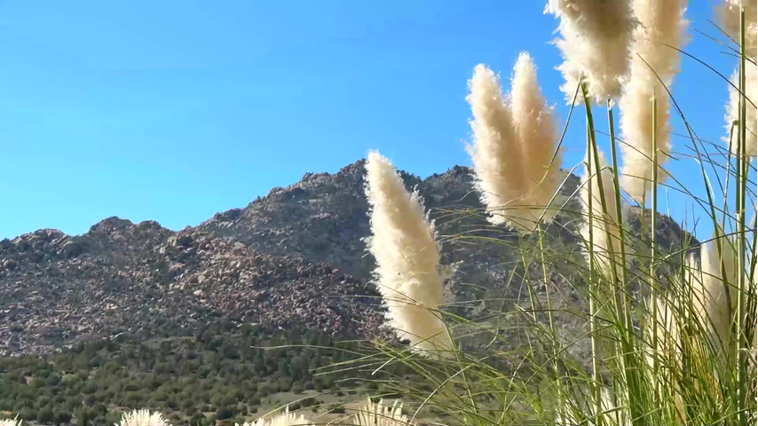 7520 N Williamson Valley Rd, Prescott, AZ 86305