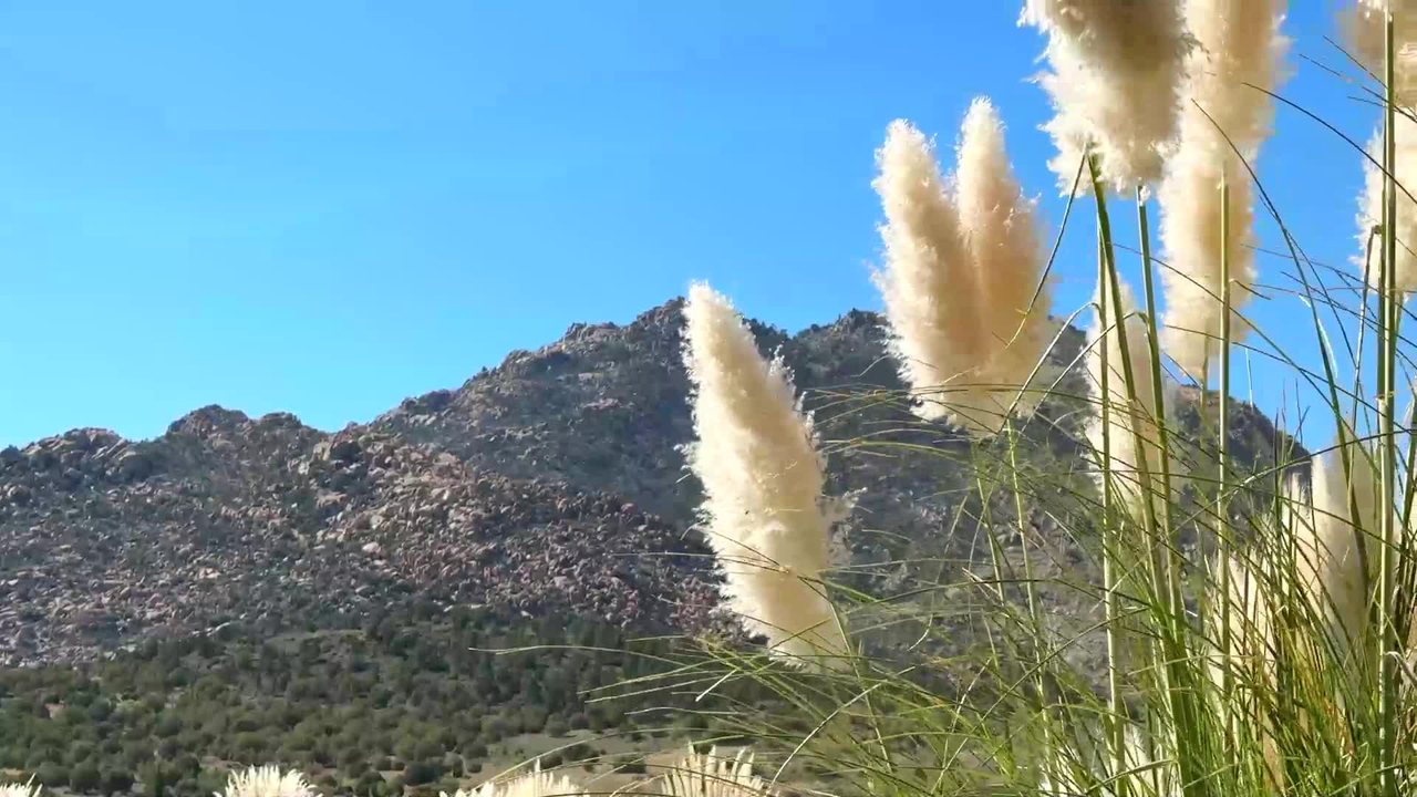 7520 N Williamson Valley Rd, Prescott, AZ 86305