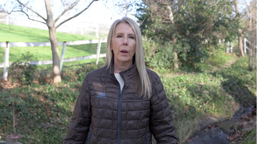 Roenspie Water Advice